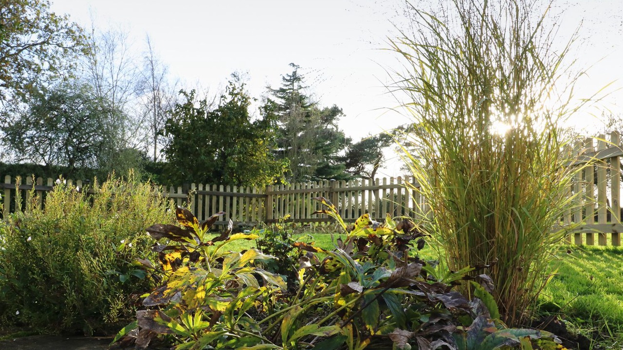 Photo of Outdoor in Pulham