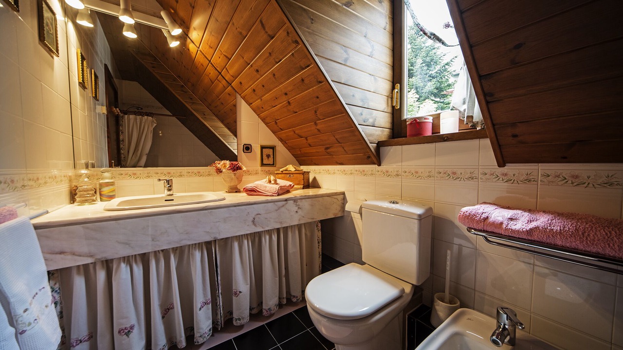 Photo of Bathroom in Vielha