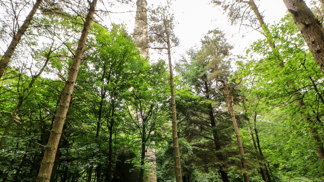 Photo of Outdoor in Bishop Auckland