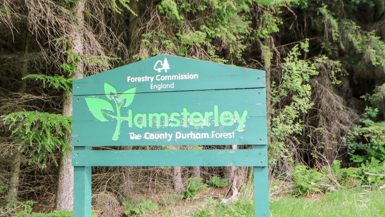 Photo of Outdoor in Bishop Auckland