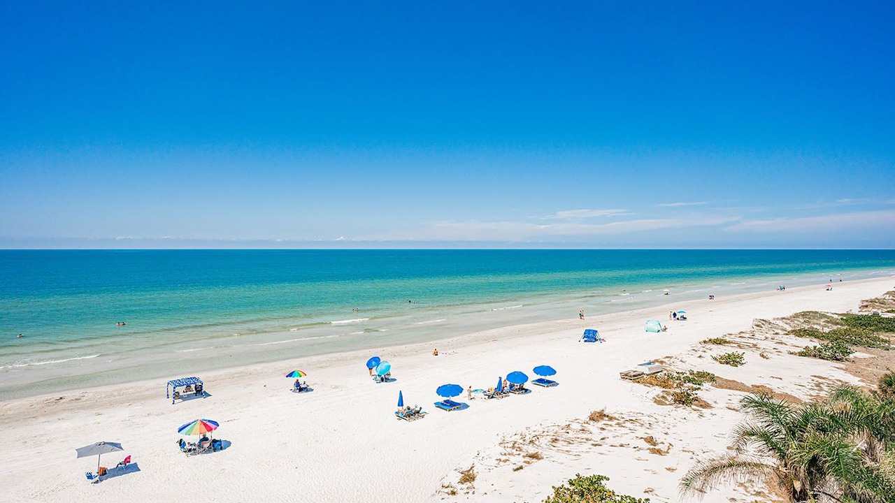 Photo of Others in Indian Shores