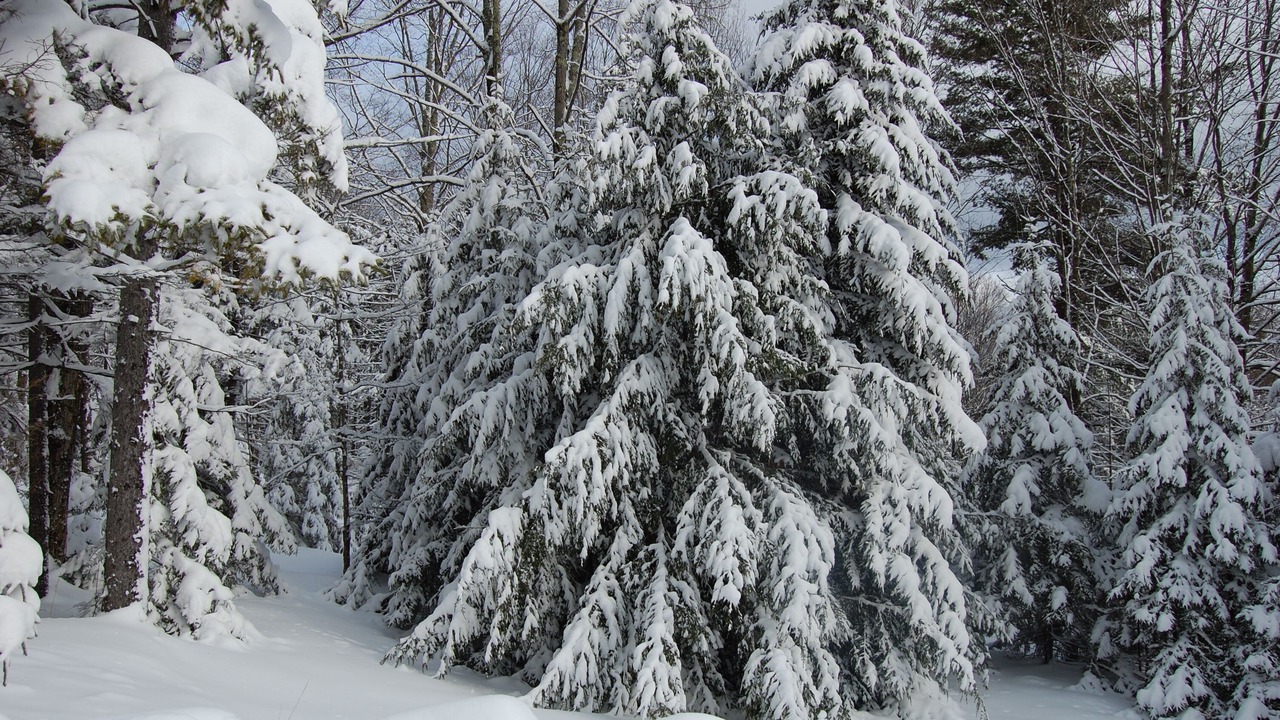Photo of Others in Pittsfield