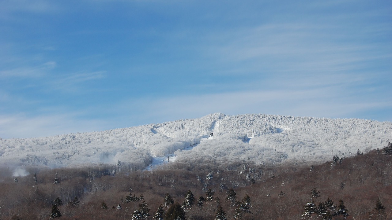 Photo of Others in Pittsfield