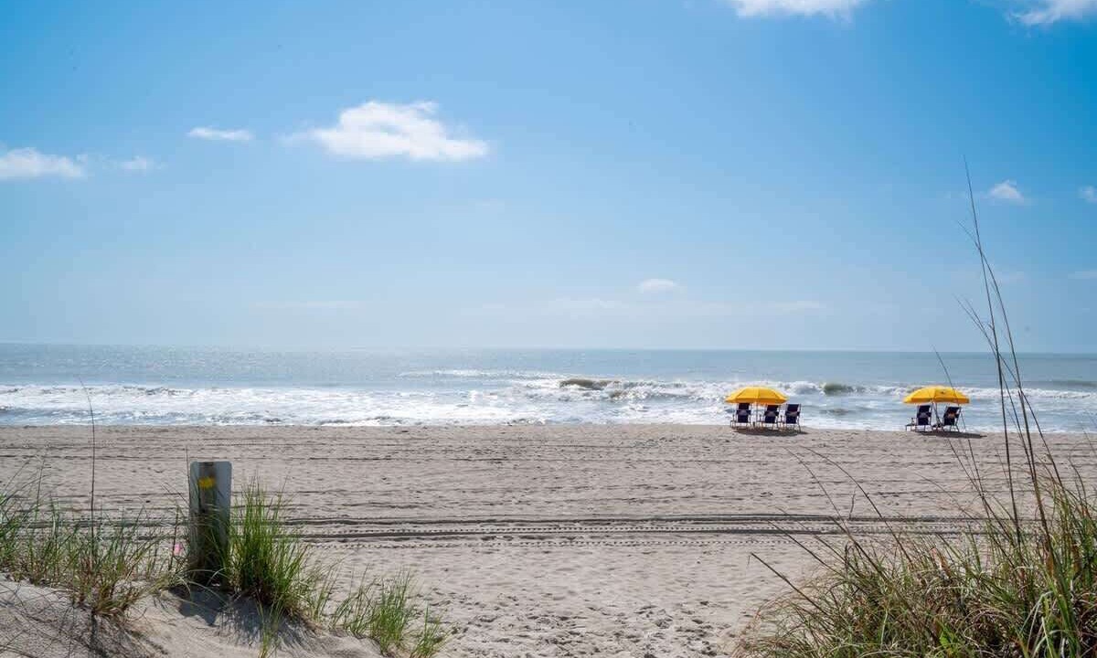 Photo of Others in North Carolina Coast