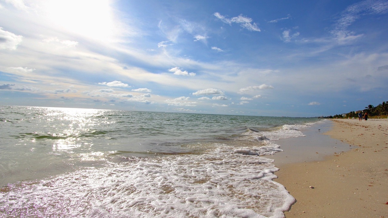Photo of Others in Bonita Shores