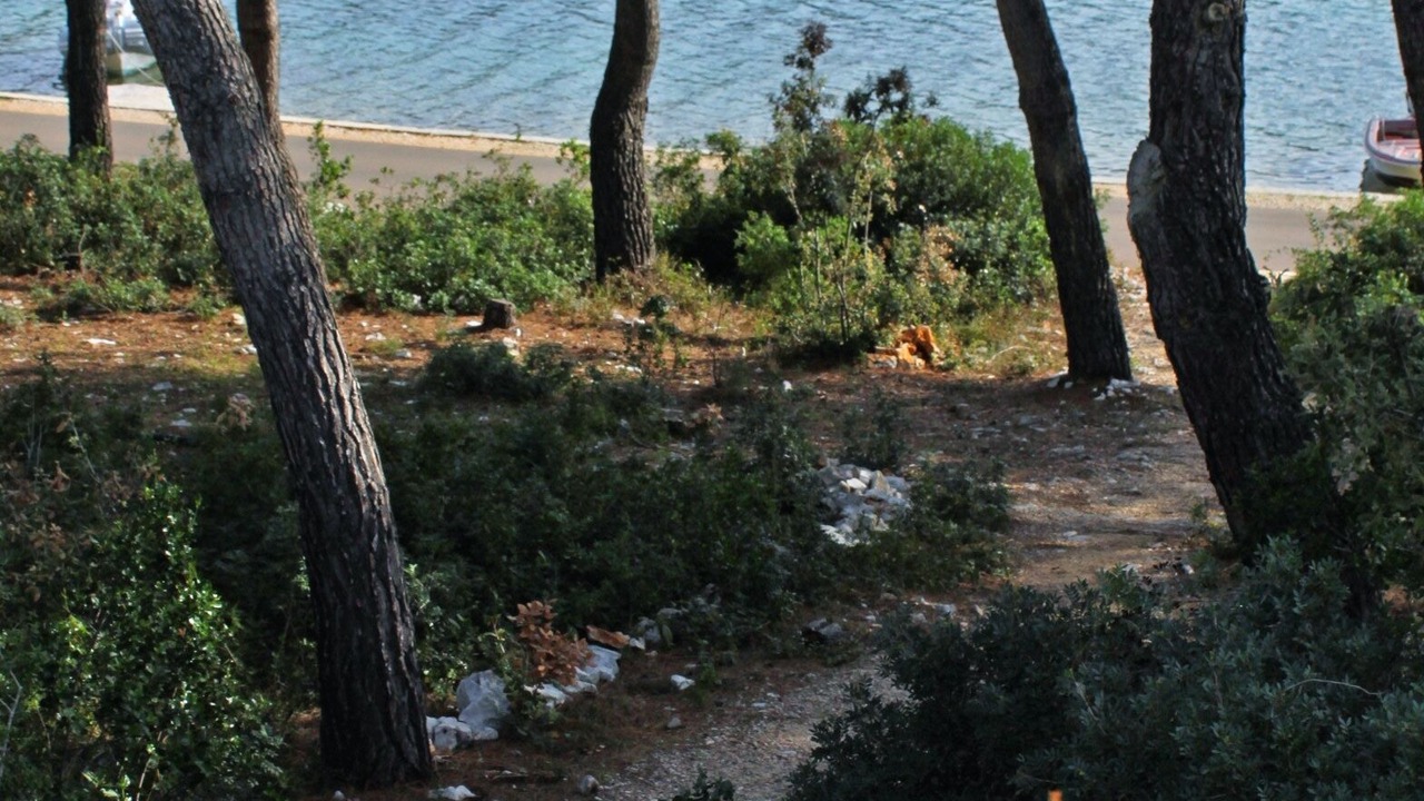 Photo of Outdoor in Kali