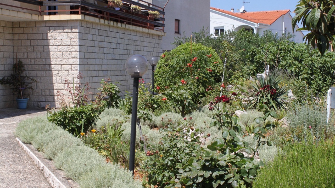 Photo of Outdoor in Island Dugi Otok