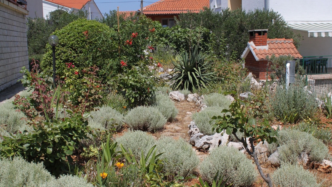 Photo of Outdoor in Island Dugi Otok
