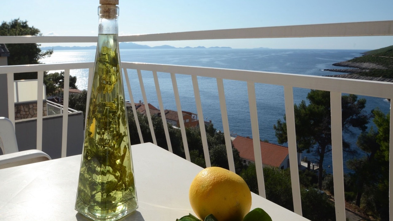 Photo of Patio Balcony in Zavalatica