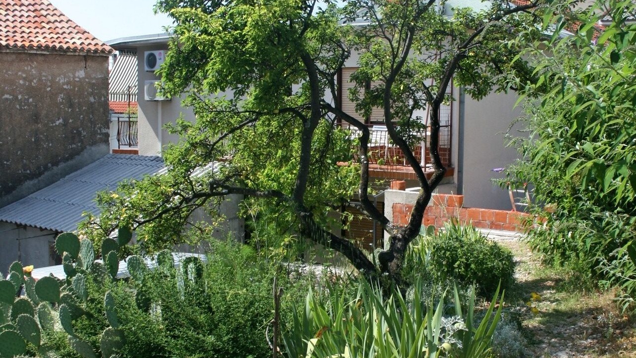 Photo of Outdoor in Selce