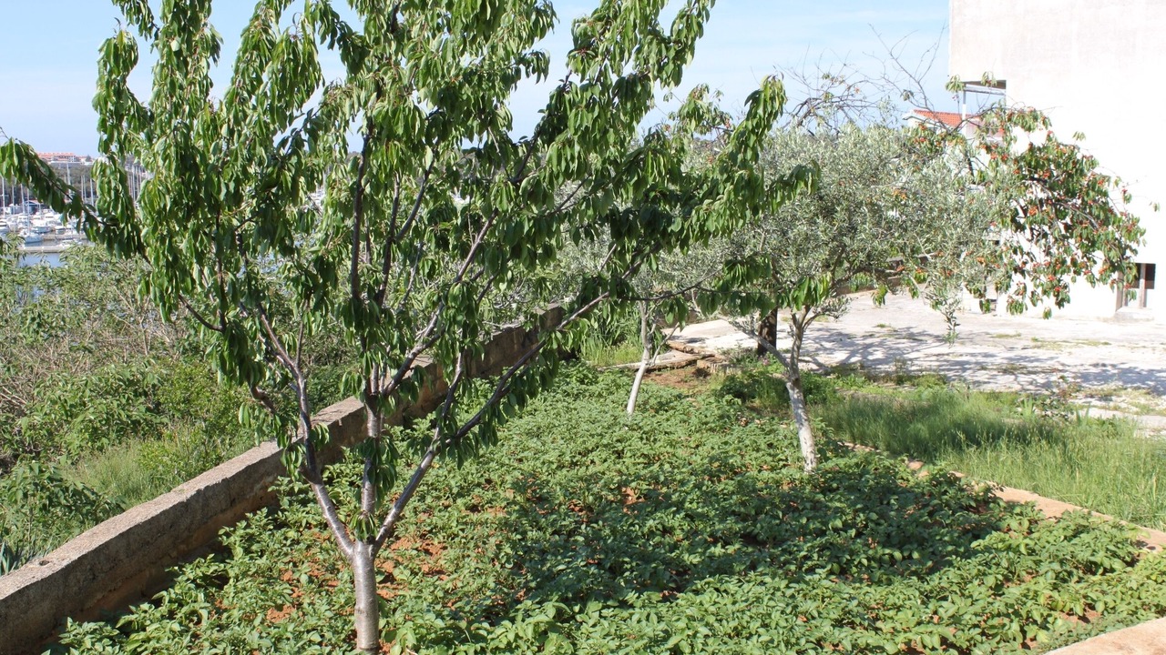 Photo of Outdoor in Vintijan