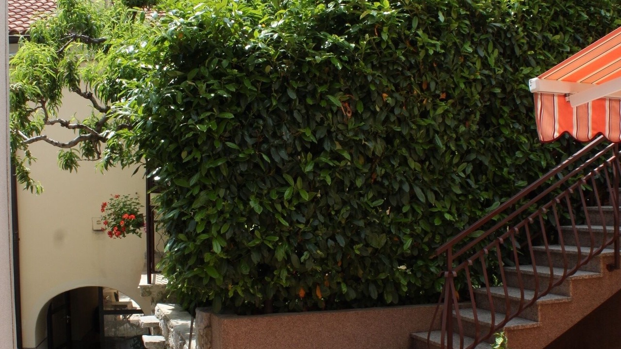 Photo of Outdoor in Donji Kraj