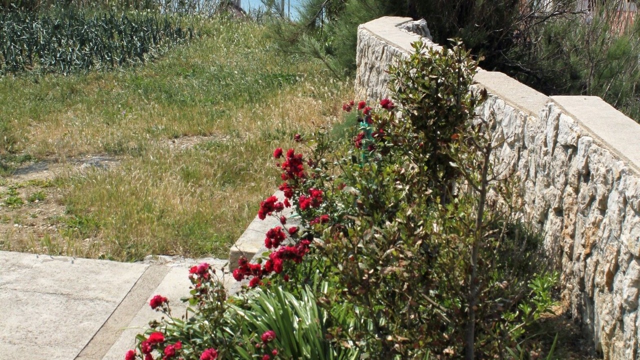 Photo of Outdoor in Metajna