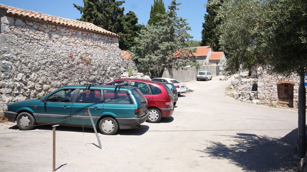 Photo of Others in Beli
