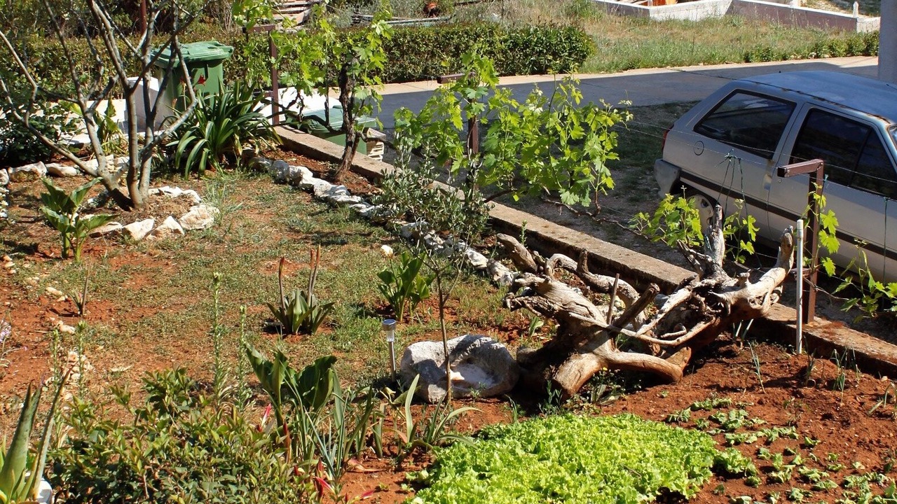 Photo of Outdoor in Molat