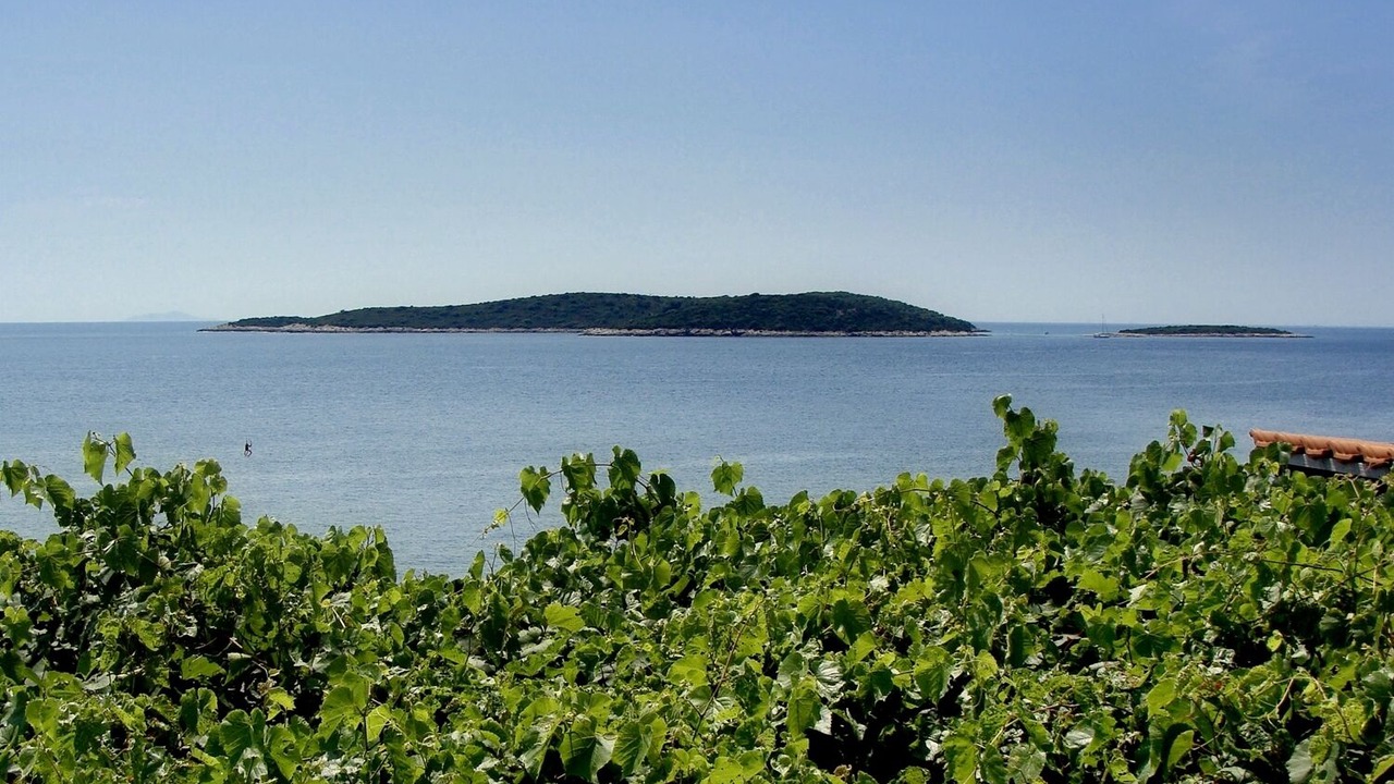 Photo of Others in Milna