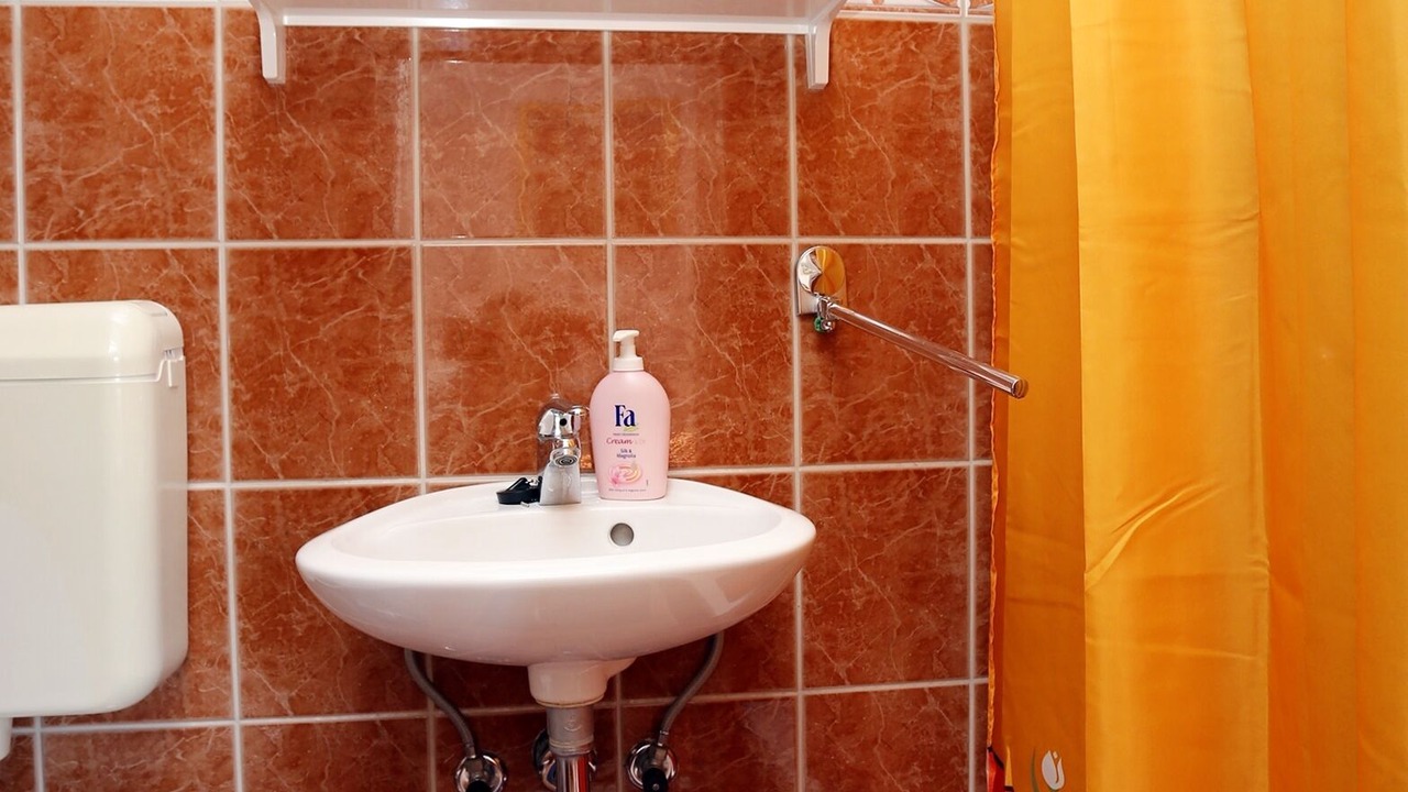 Photo of Bathroom in Trstenik