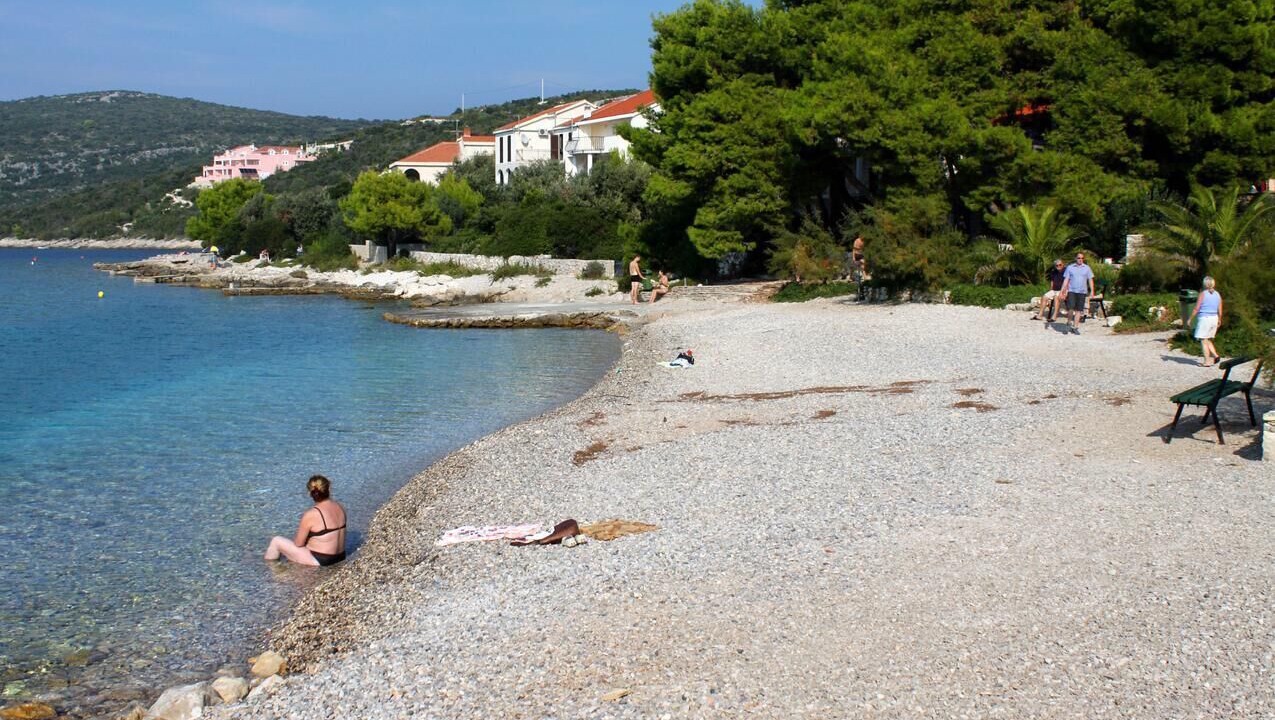 Photo of Others in Maslinica