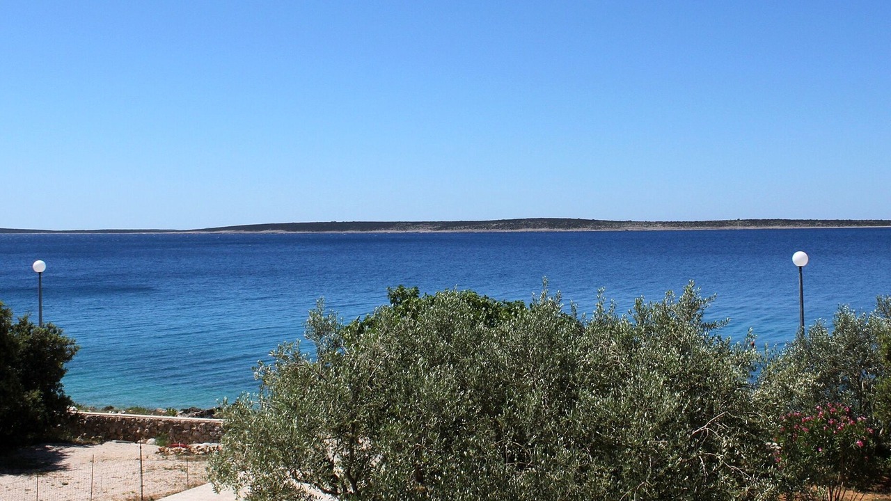 Photo of Others in Kolan