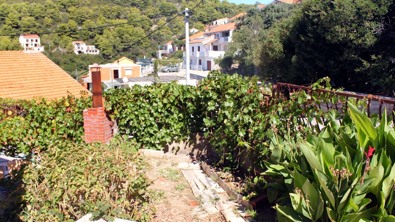 Photo of Outdoor in Brna