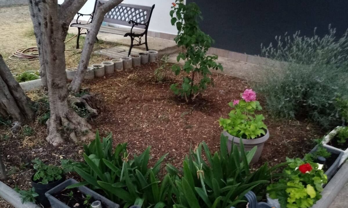Photo of Outdoor in Kraj