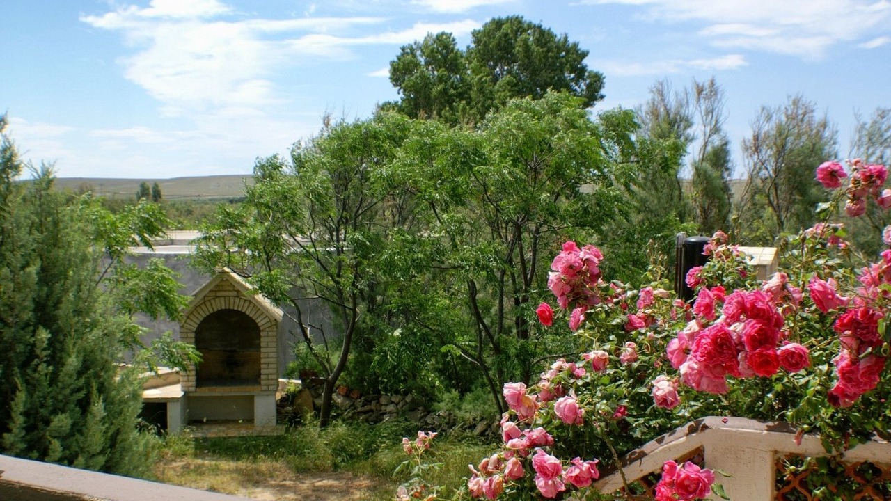 Photo of Outdoor in Povljana