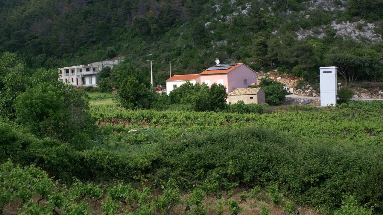 Photo of Patio Balcony in Trstenik