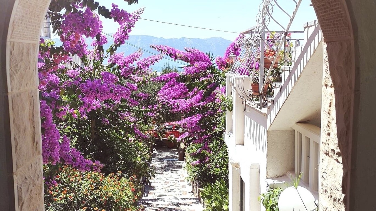 Photo of Outdoor in Sucuraj