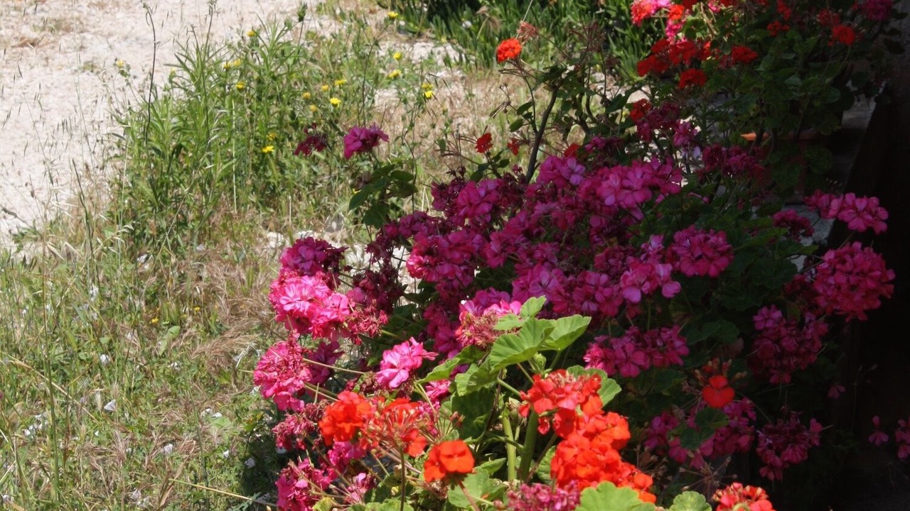 Photo of Outdoor in Jezera