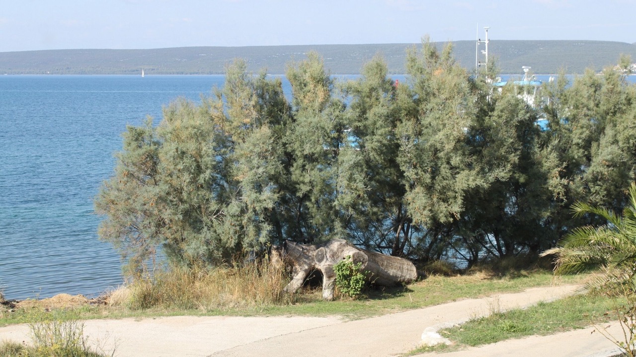 Photo of Others in Nevidane