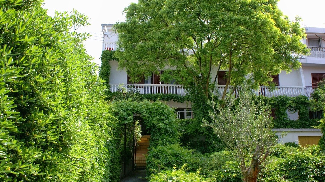 Photo of Outdoor in Stara Novalja