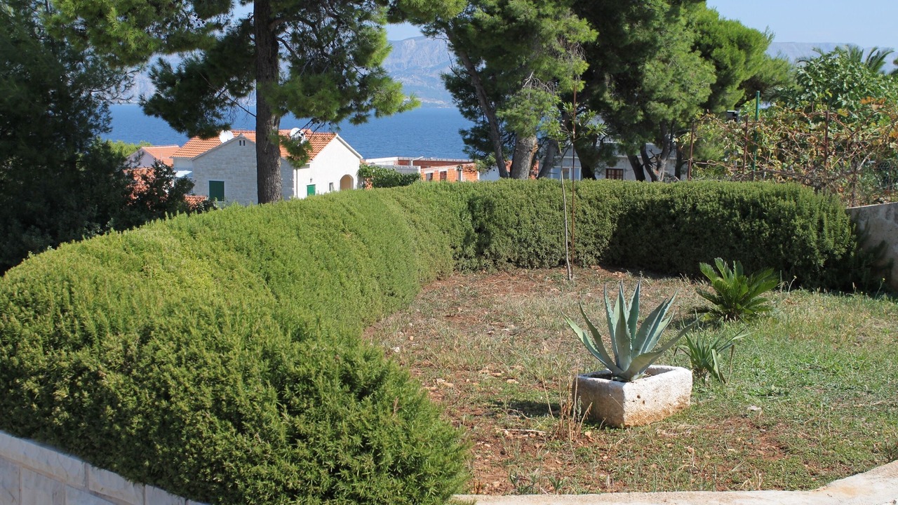 Photo of Outdoor in Postira