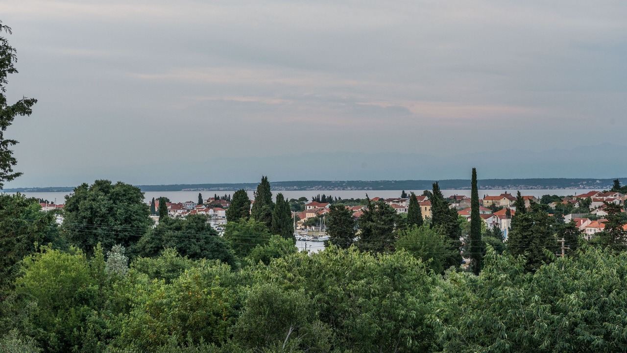 Photo of Others in Sutomiscica