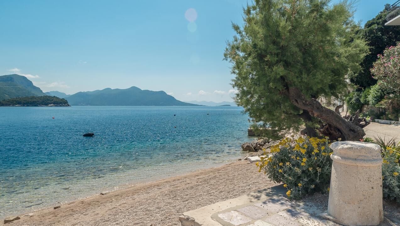 Photo of Others in Trstenik