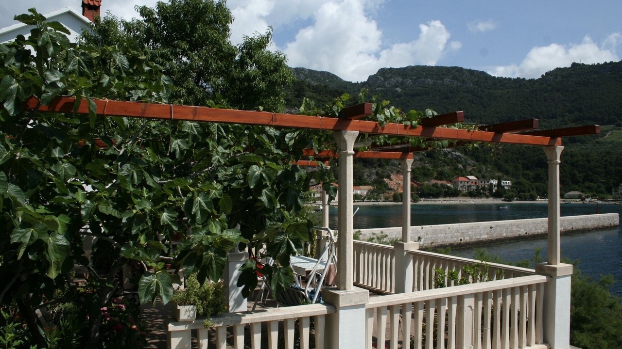 Photo of Outdoor in Trstenik