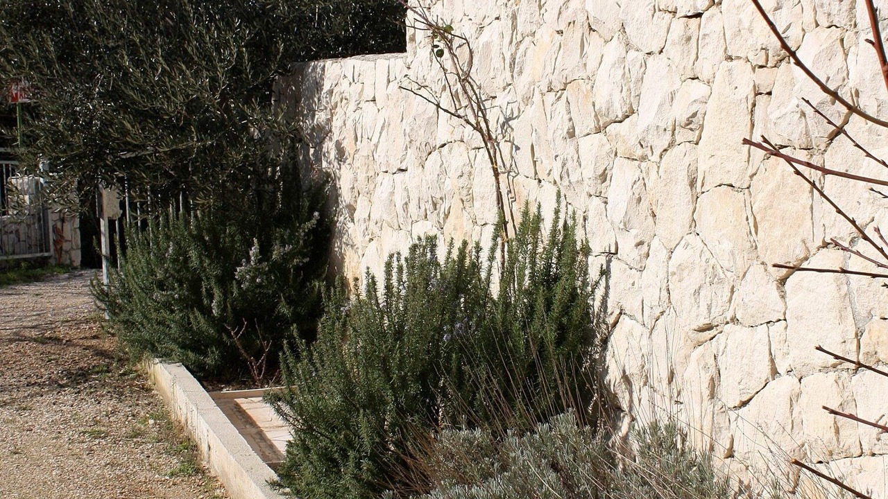 Photo of Outdoor in Marusici