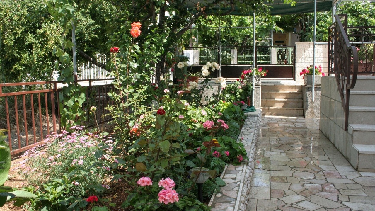 Photo of Outdoor in Orebic