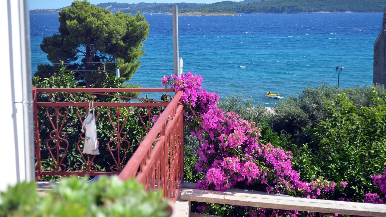 Photo of Outdoor in Orebic