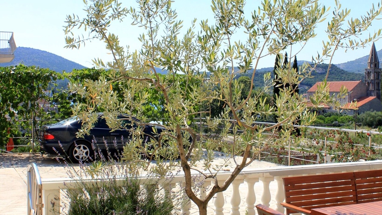 Photo of Outdoor in Slano