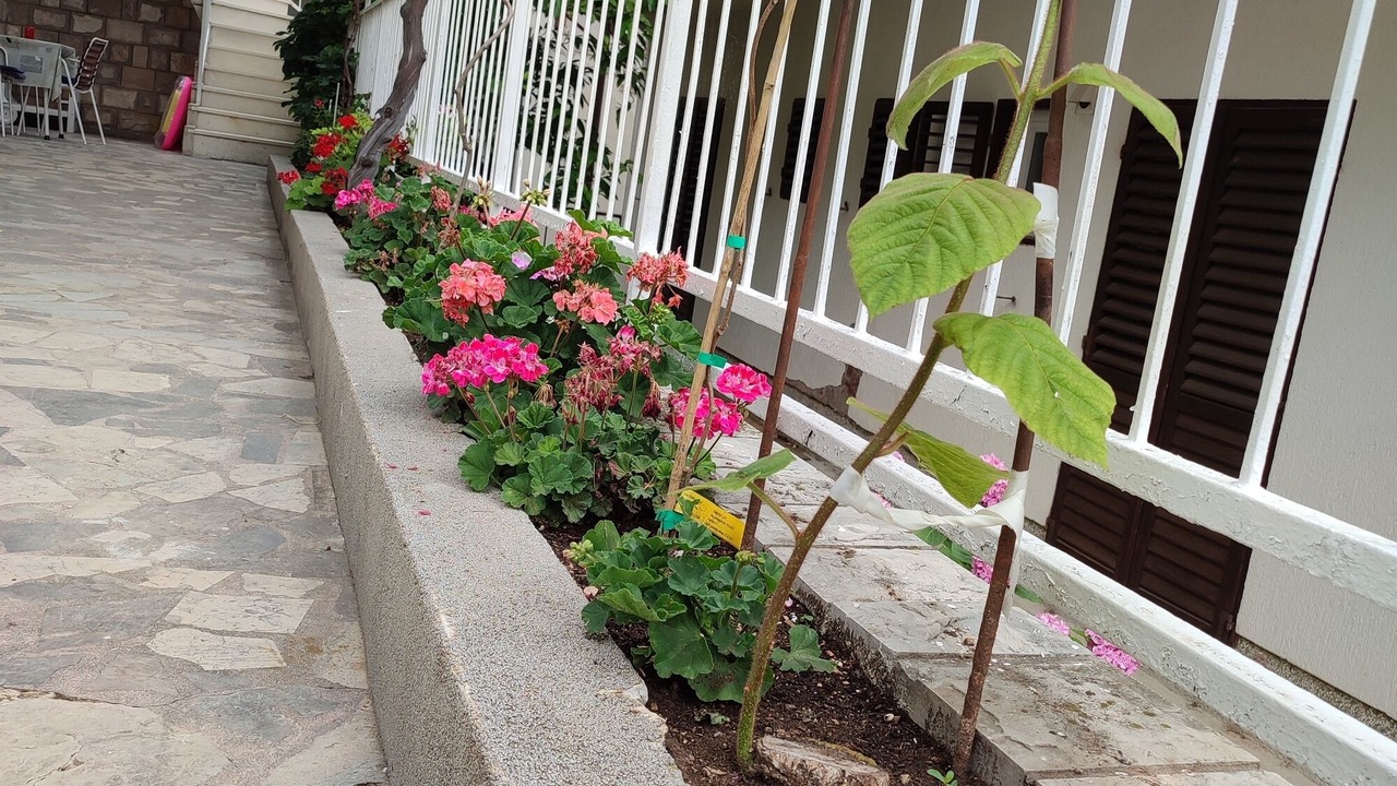 Photo of Outdoor in Podaca