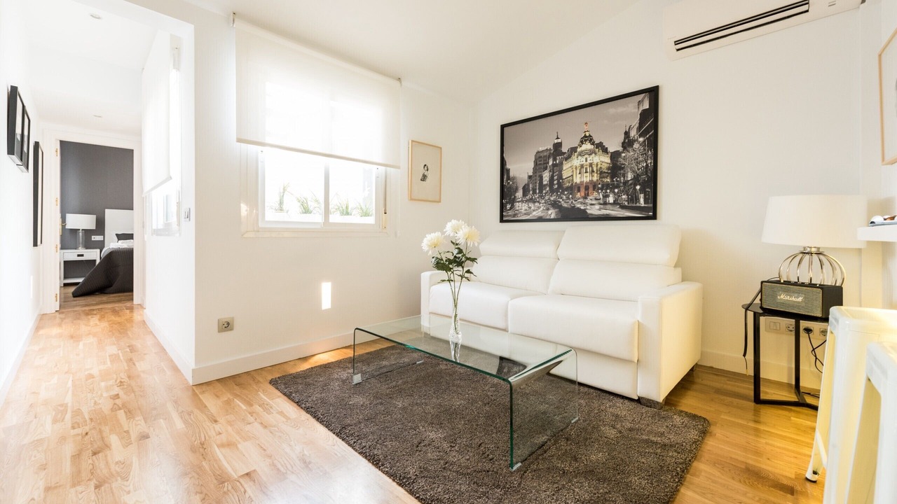 Photo of Livingroom in Embajadores