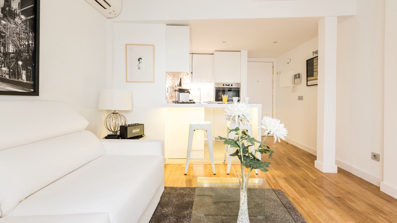 Photo of Livingroom in Embajadores