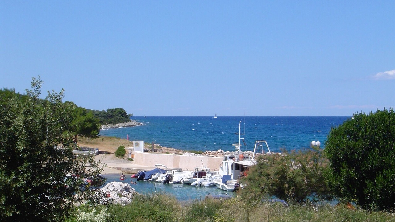 Photo of Others in Muline