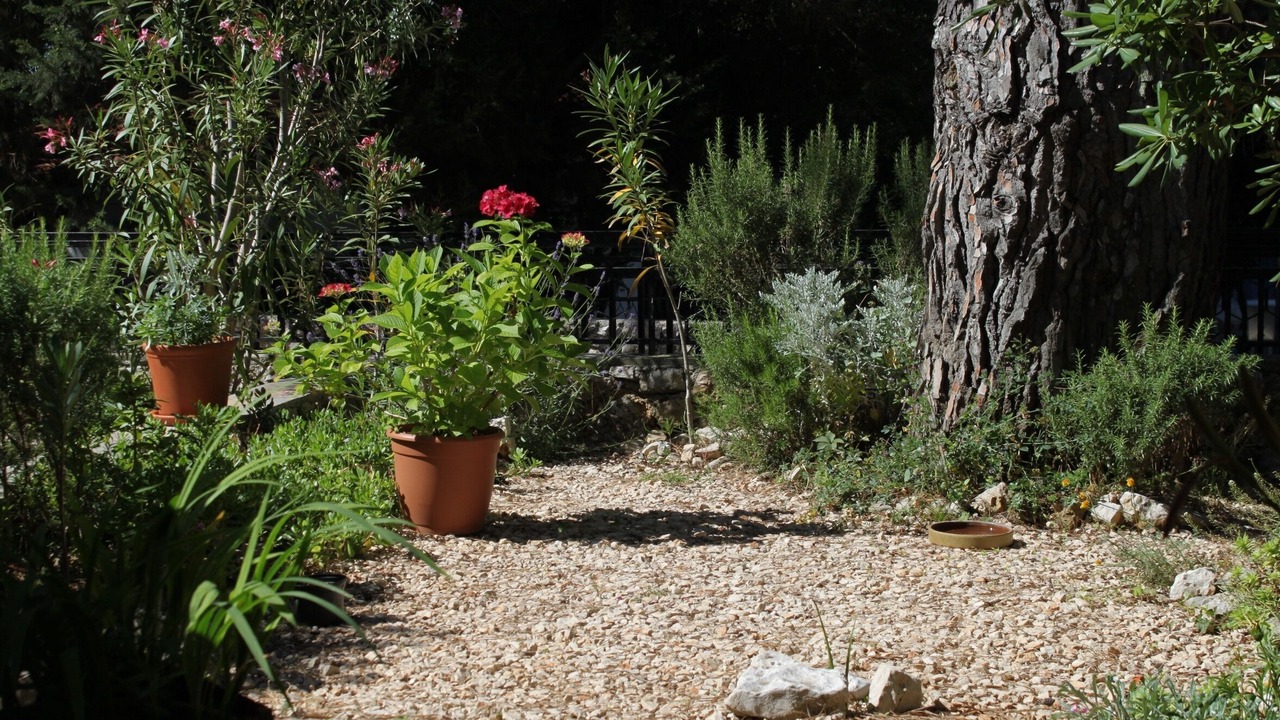 Photo of Outdoor in Artatore