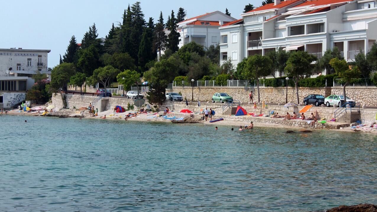 Photo of Others in Selce