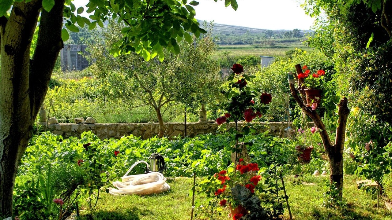Photo of Outdoor in Vlasici