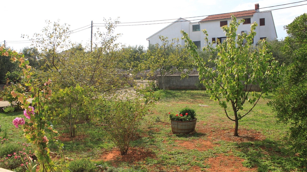 Photo of Outdoor in Batalaza