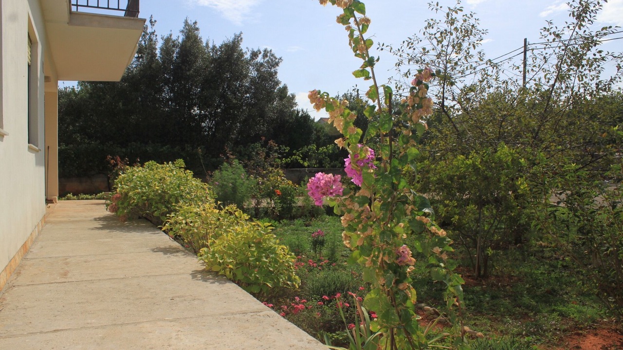 Photo of Outdoor in Batalaza