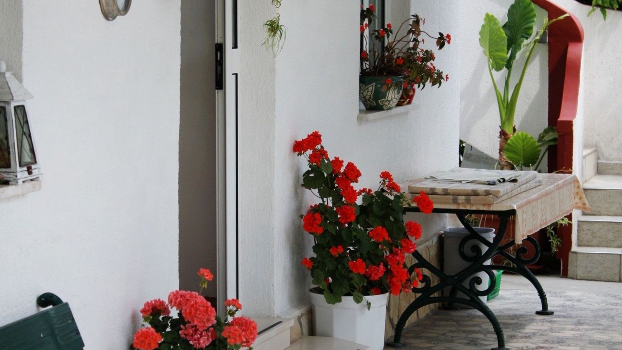 Photo of Outdoor in Supetarska Draga