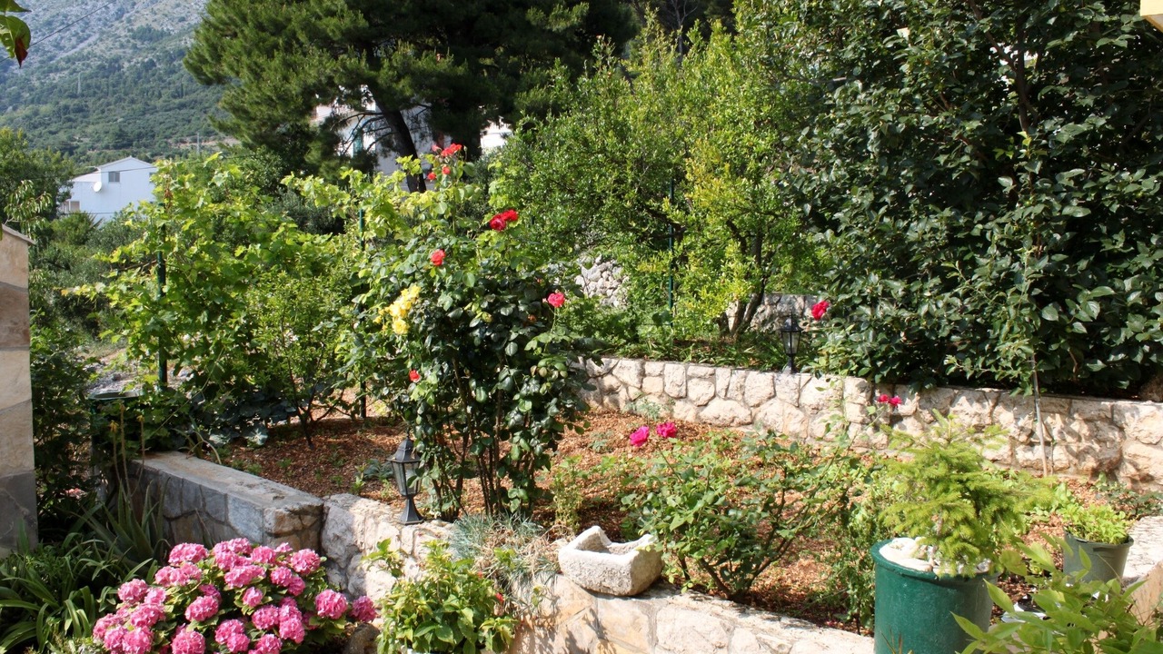 Photo of Outdoor in Zivogosce